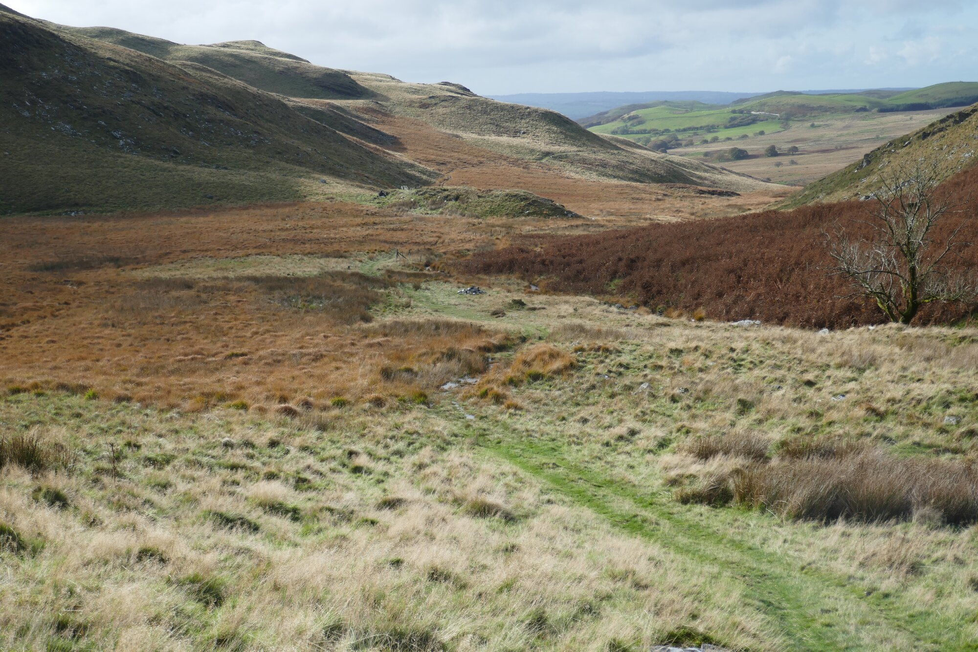 RachelSeabrook.net | Wild Walking | Teifi Pools | pic35